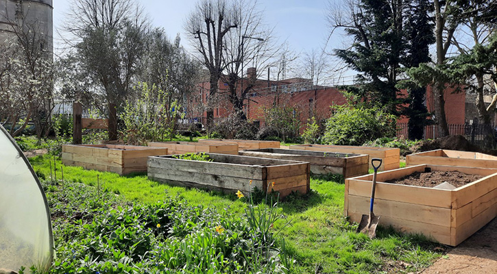 Trinity Community Garden